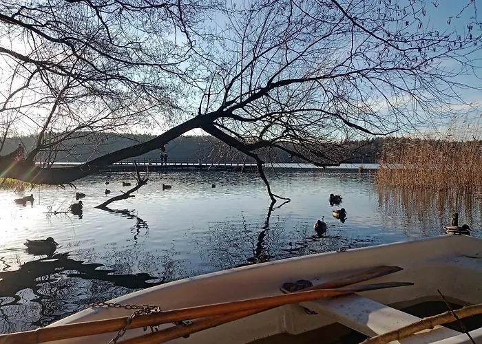 Przestronny Centrum Między 2 Jeziorami Olsztyn (Warmian-Masurian)